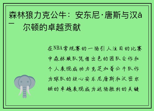 森林狼力克公牛：安东尼·唐斯与汉密尔顿的卓越贡献